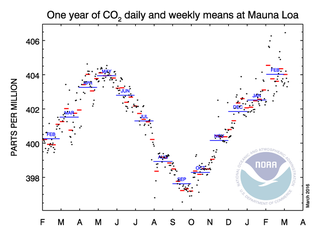 CO2 concentrations at Mauna Loa over the past year. Image Credit: NOAA